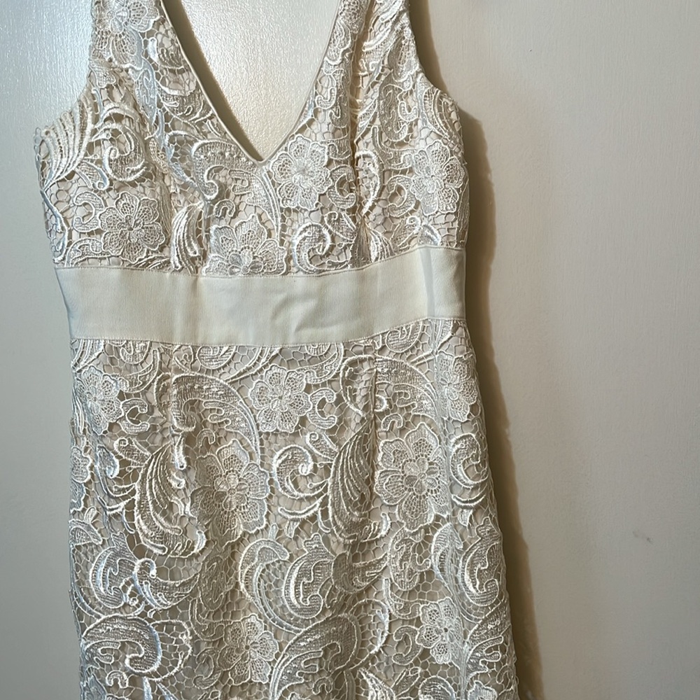 Adrianna Papell Lace Dress Sz 10 “Preowned “ - Picture 2 of 6